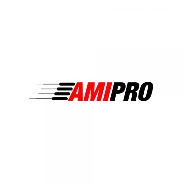 AMIRPO